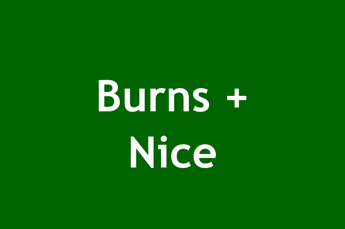 Burns + Nice