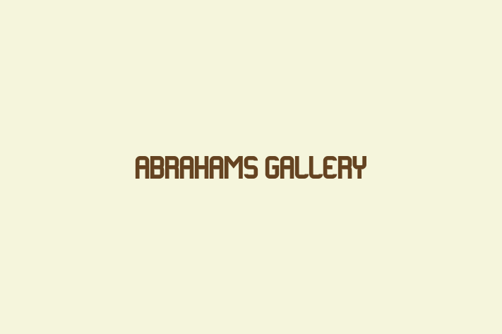 Abrahams Gallery