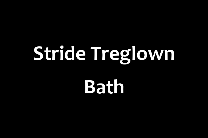 Stride Treglown Bath