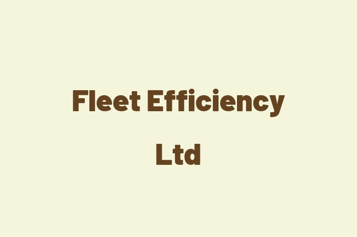 Fleet Efficiency Ltd