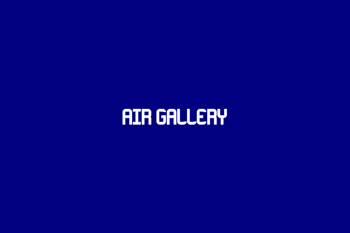 AIR Gallery