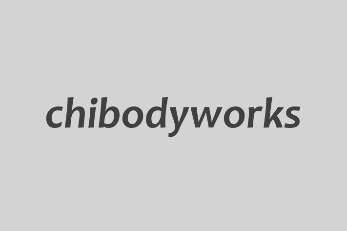 chibodyworks