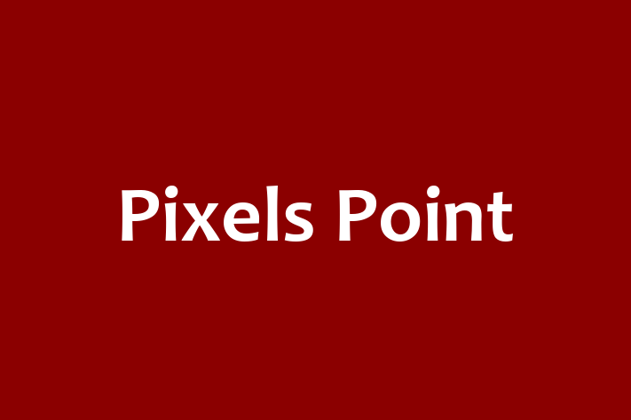 Pixels Point