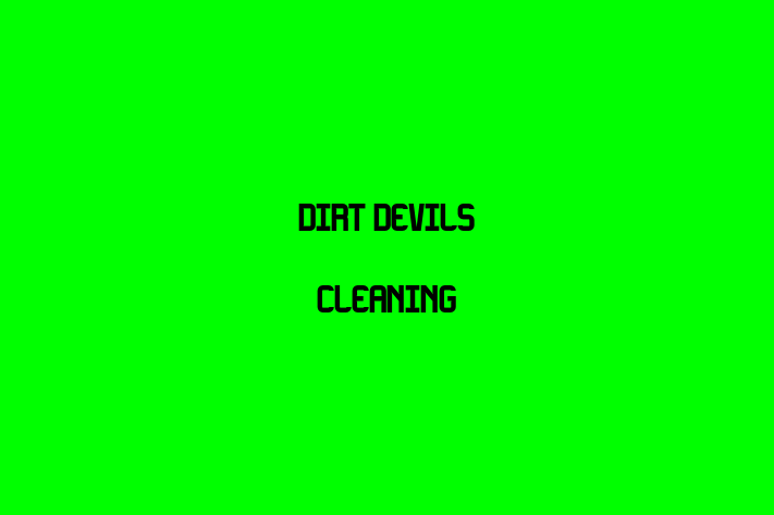 Dirt Devils Cleaning