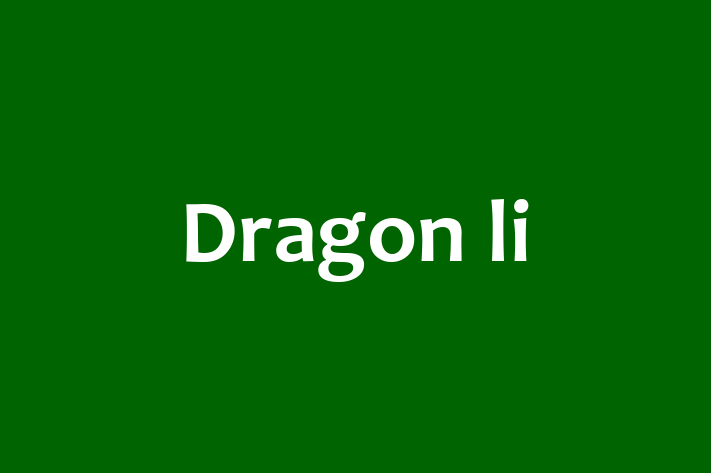 Adopt a Dragon li Cat in Deal