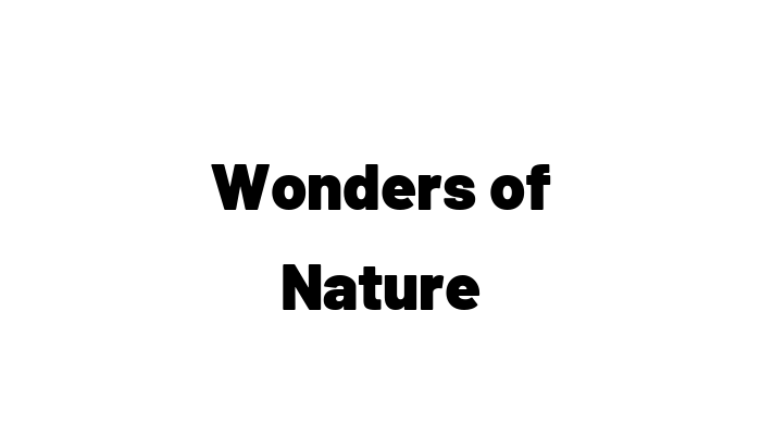 Wonders of Nature