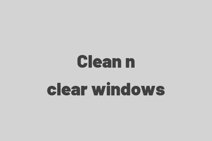 Clean n clear windows