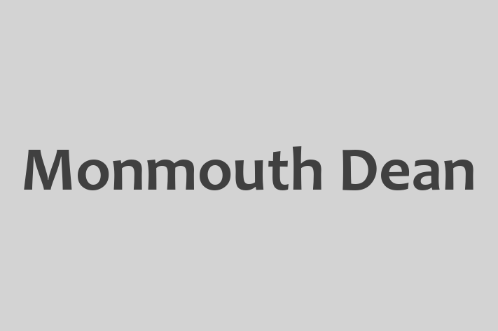 Monmouth Dean