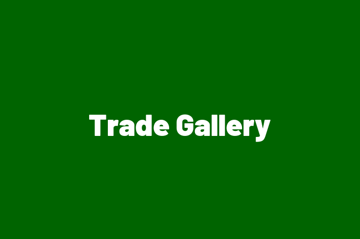 Trade Gallery