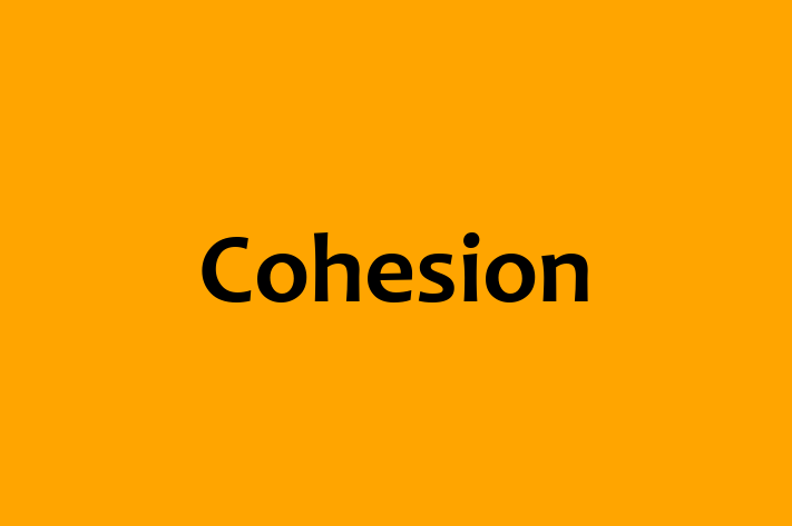 Cohesion