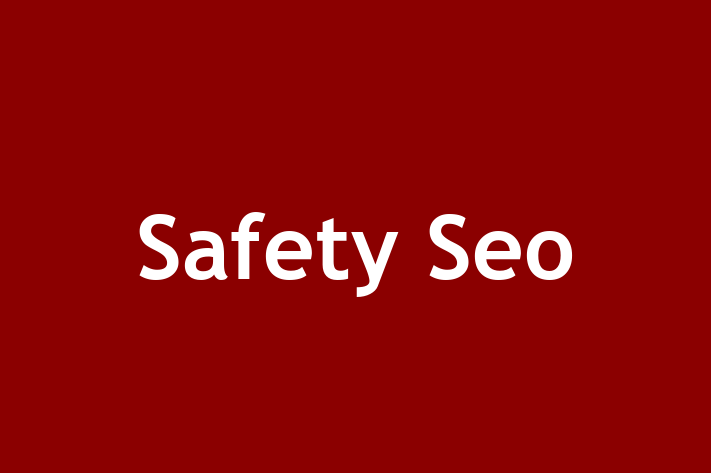 Safety Seo