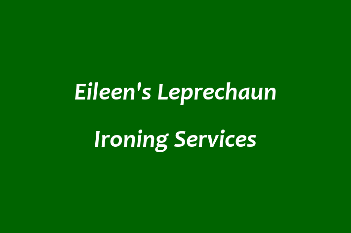 Eileen's Leprechaun Ironing Services