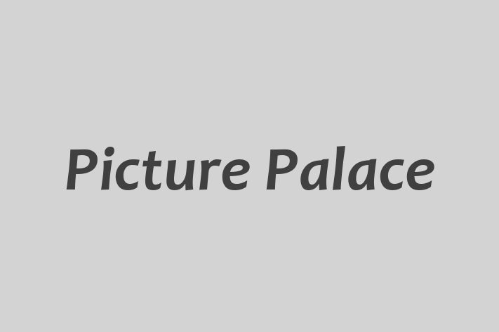 Picture Palace