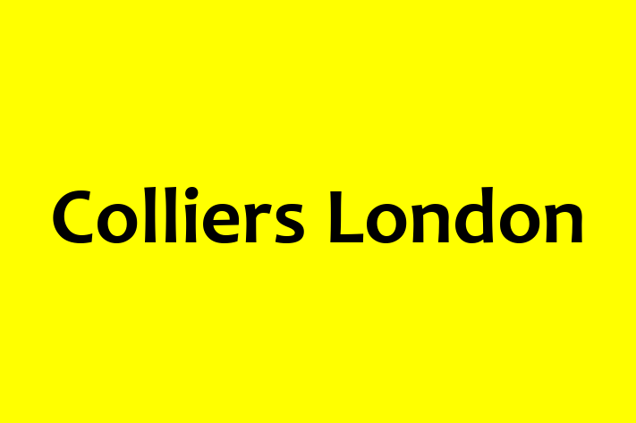 Colliers London