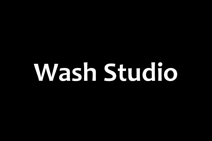 Wash Studio