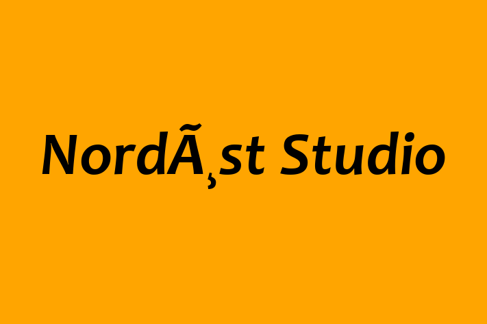 NordÃ¸st Studio