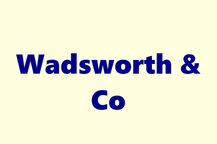 Wadsworth & Co