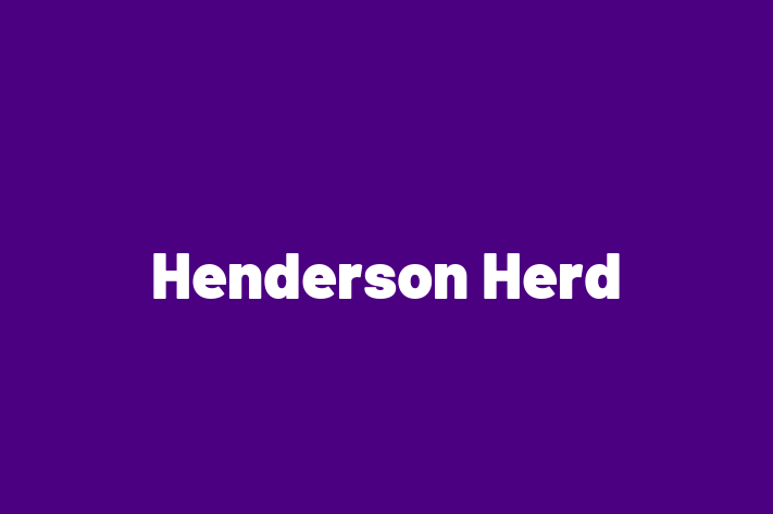 Henderson Herd