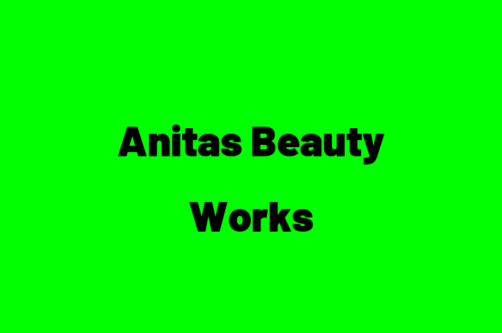 Anitas Beauty Works