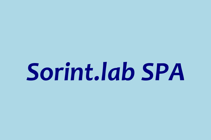 Sorint lab SPA