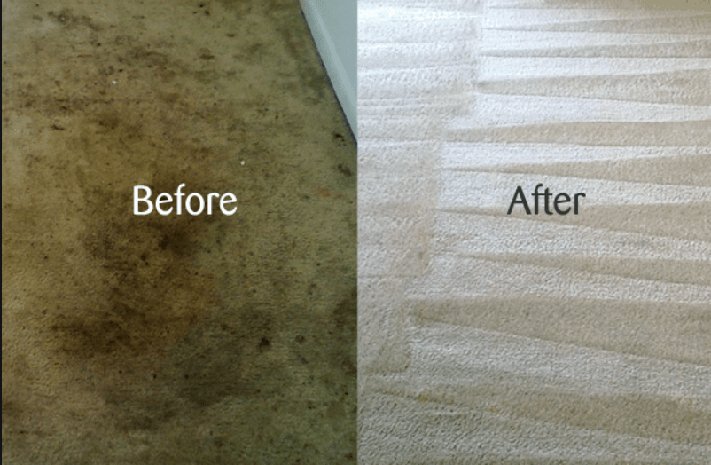 Swansea Commercial Carpet Cleaning