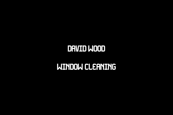 David Wood Window Cleaning