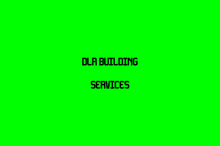 DLR Building Services