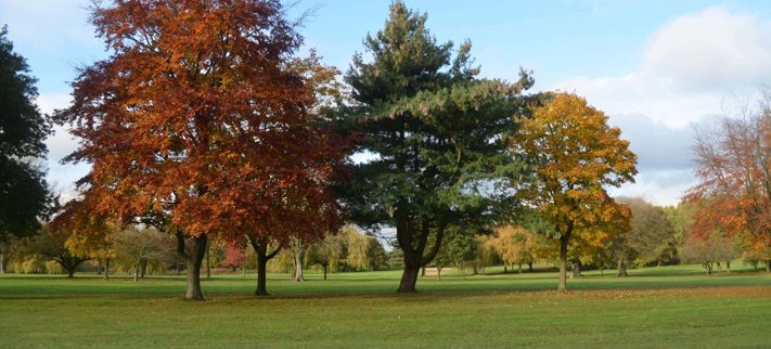 Bloxwich Golf Club