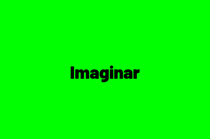 Imaginar