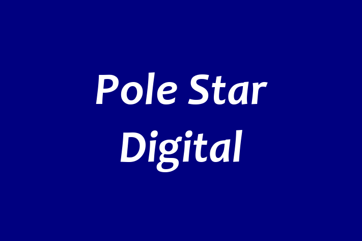 Pole Star Digital