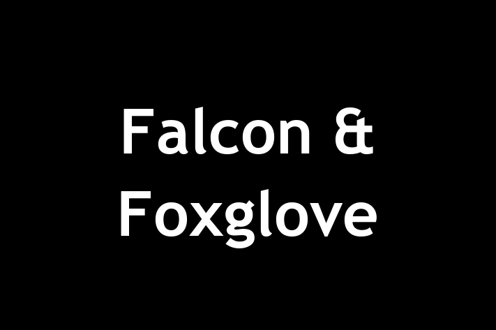 Falcon & Foxglove