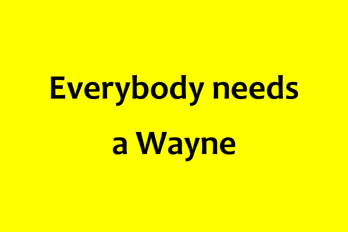 Everybody needs a Wayne