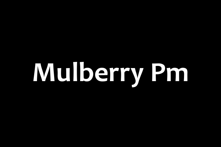 Mulberry Pm