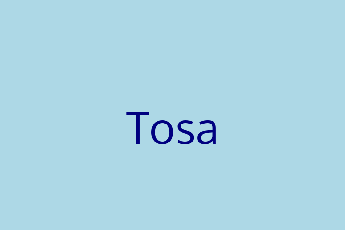 Tosa Dog for Sale in Walsall