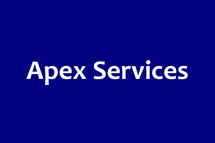 Apex Services