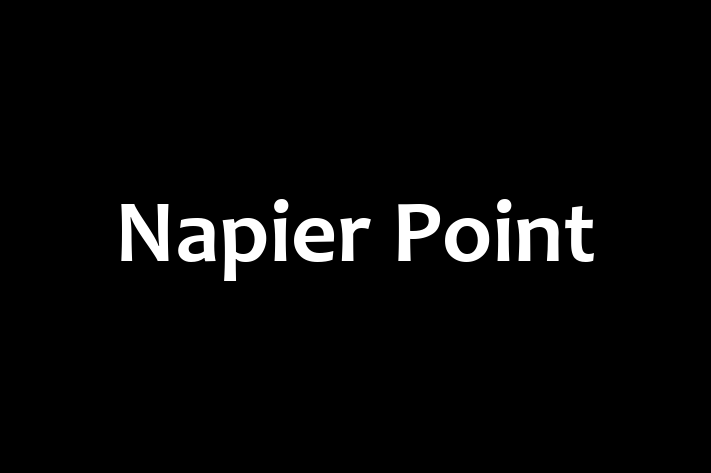 Napier Point