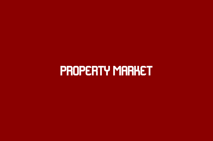 Property Market