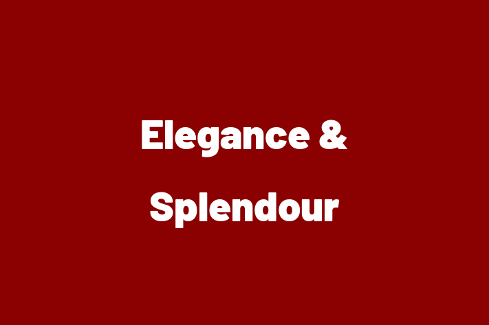 Elegance & Splendour