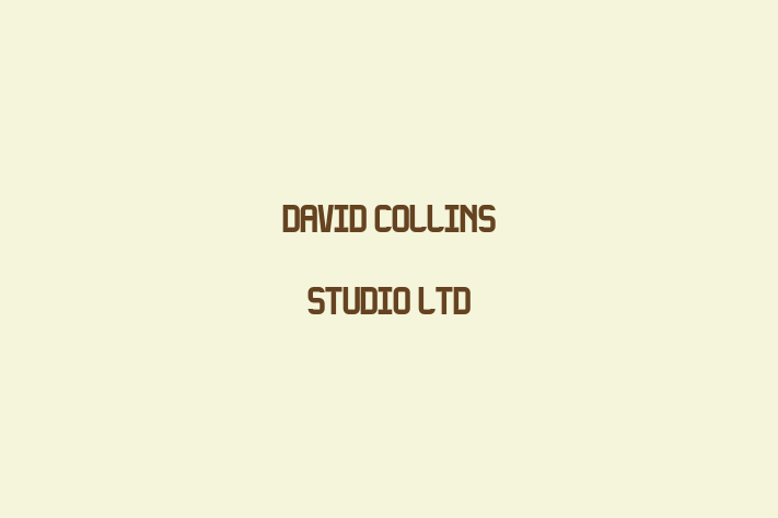 David Collins Studio Ltd