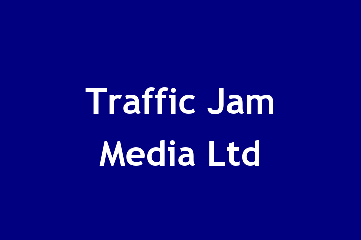 Traffic Jam Media Ltd