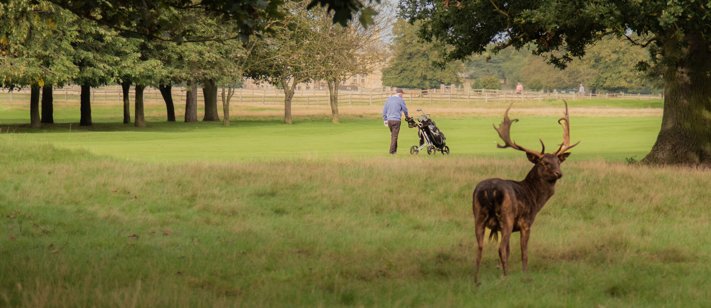 Belton Park Golf Club