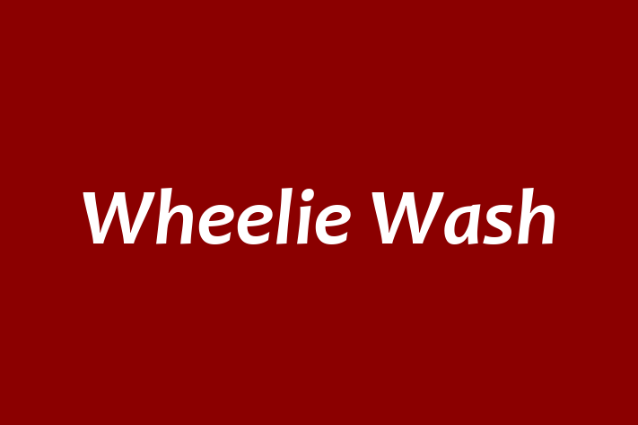 Wheelie Wash