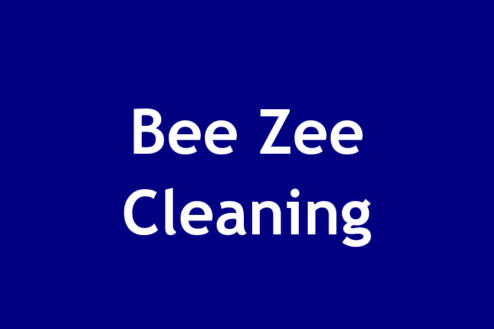 Bee Zee Cleaning