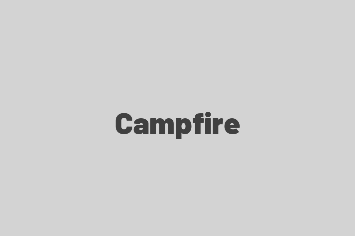 Campfire