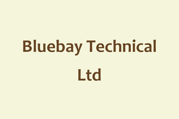 Bluebay Technical Ltd