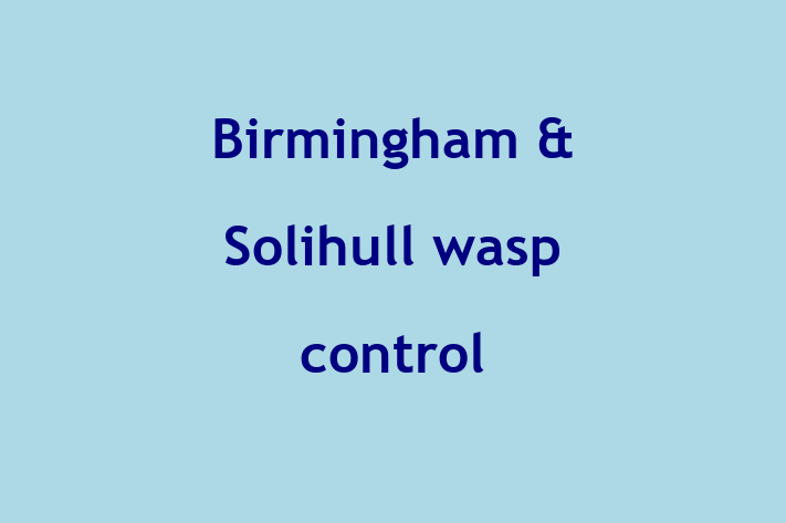 Birmingham & Solihull wasp control