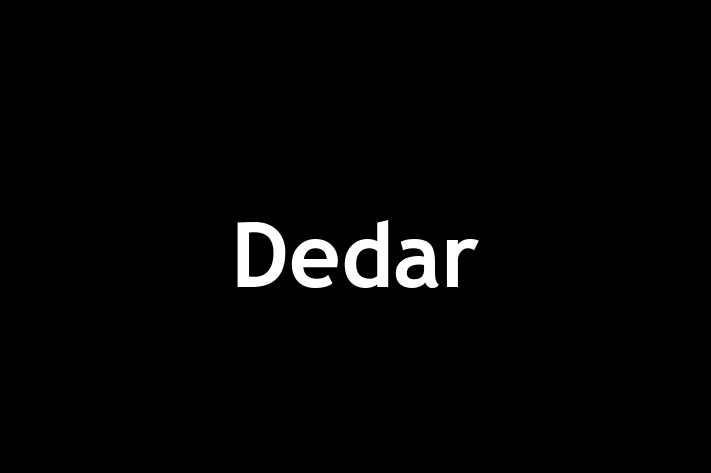 Dedar