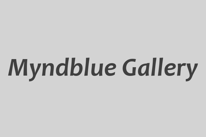 Myndblue Gallery