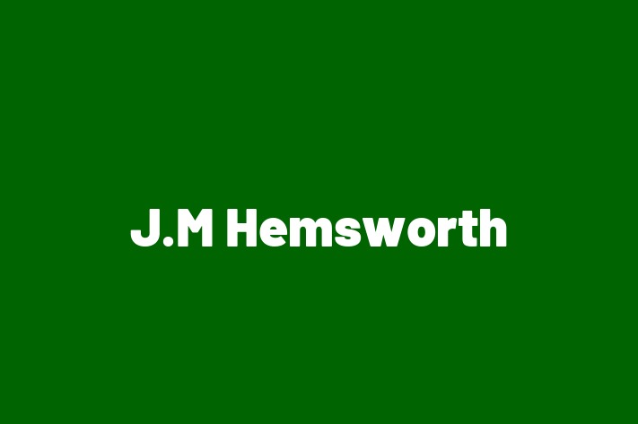 J M Hemsworth