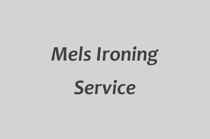 Mels Ironing Service